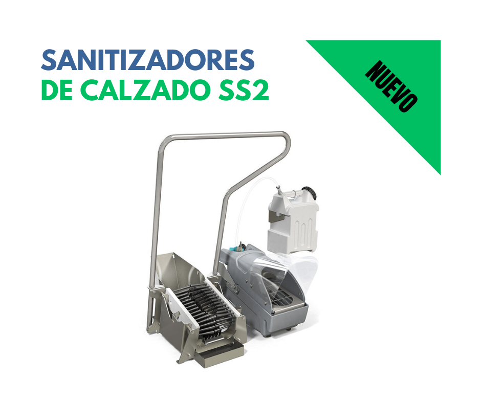 SS2